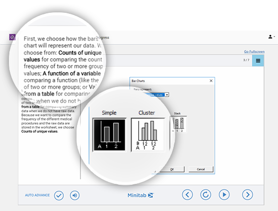 Minitab Statistical Software explaining bar charts and variables.